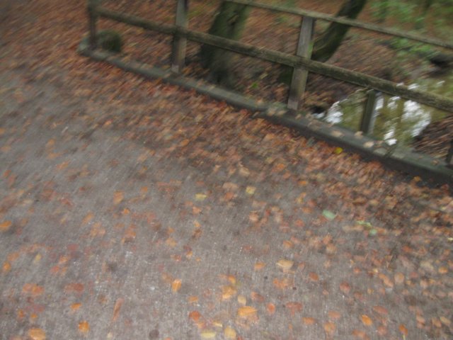 img_6623.jpg