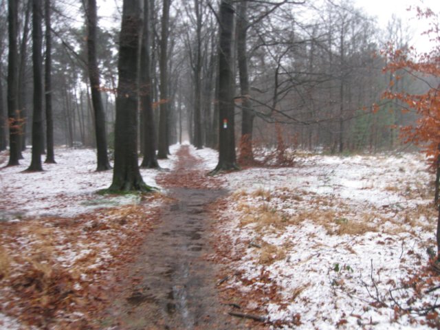 img_7603.jpg