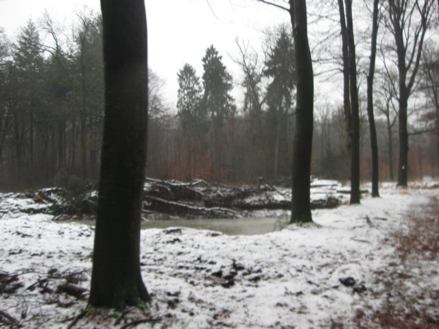 img_7604.jpg