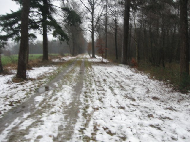img_7625.jpg
