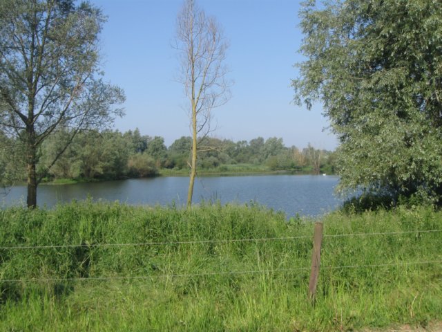 img_1962.jpg