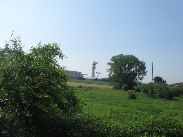 img_2001.jpg
