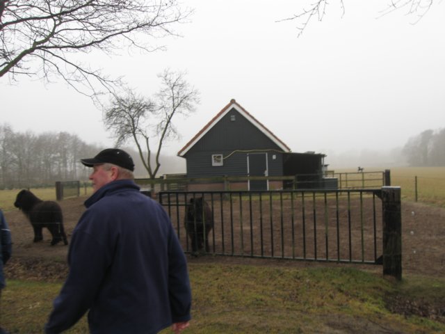 img_8723.jpg