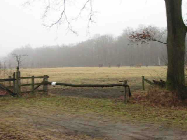 img_8737.jpg