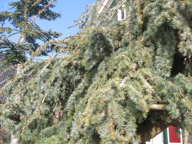 img_9246.jpg