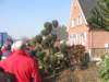 img_9247_small.jpg