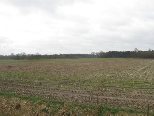 img_9831.jpg