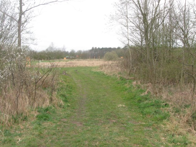 img_9853.jpg