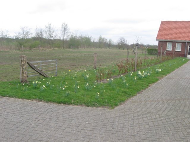 img_9869.jpg