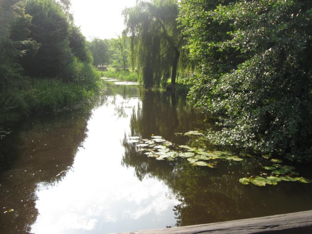img_4973.jpg