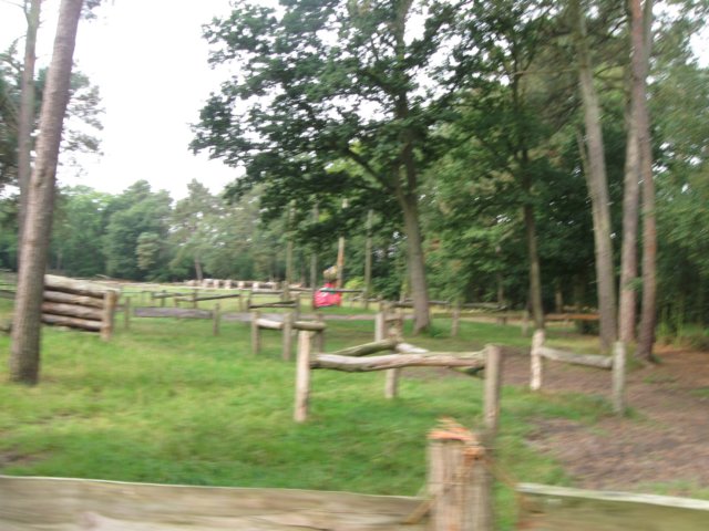 img_5971.jpg