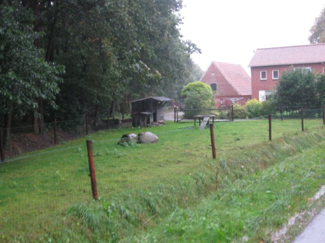 img_6211.jpg