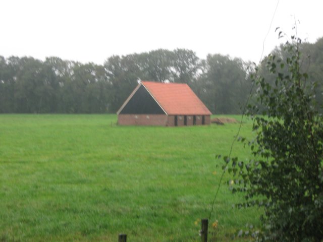 img_6218.jpg