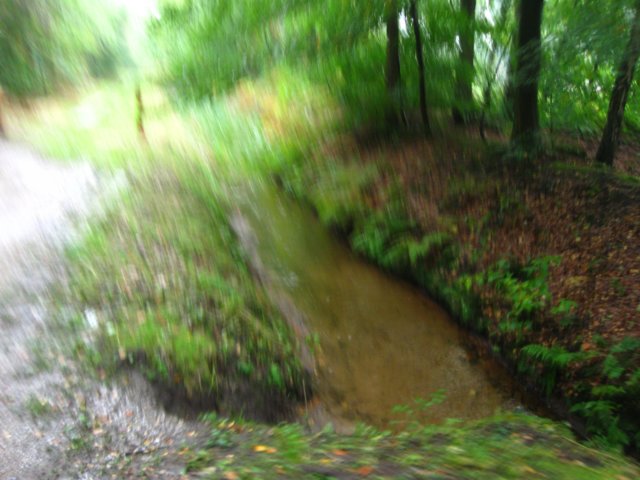 img_6226.jpg