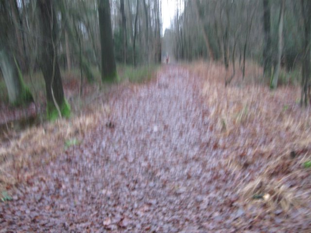 img_7747.jpg