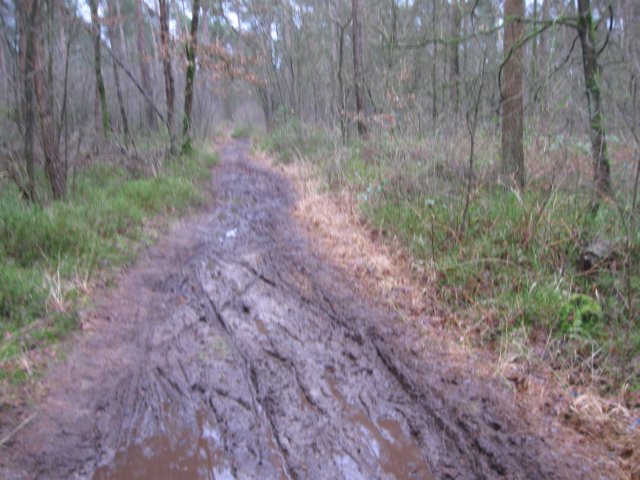 img_7750.jpg