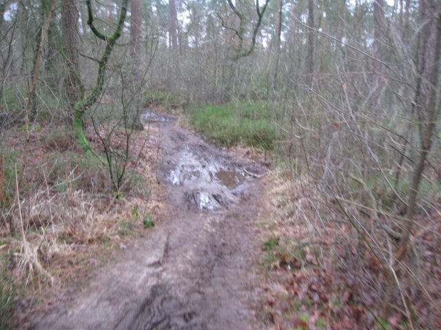 img_7751.jpg