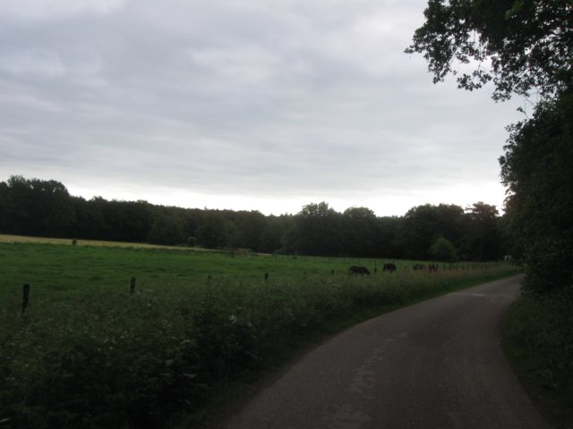 img_2108.jpg