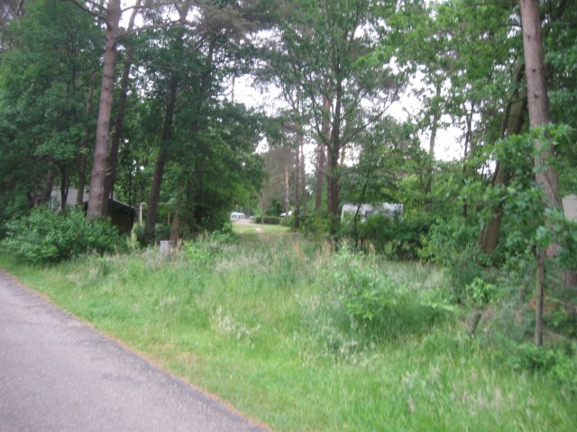 img_2109.jpg