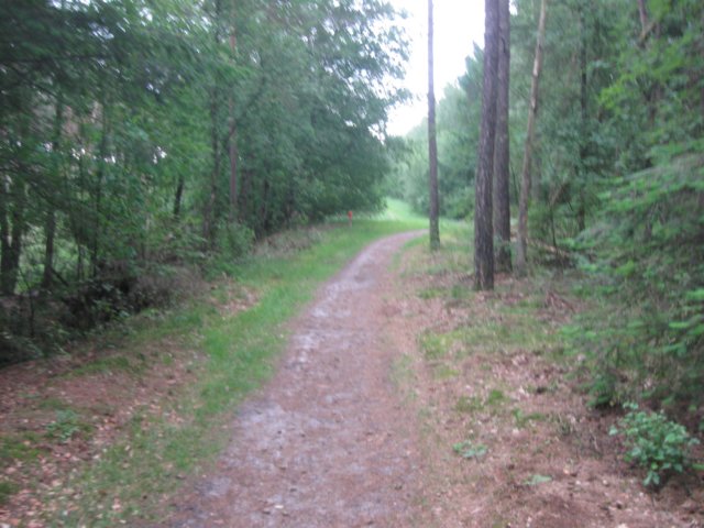 img_2137.jpg