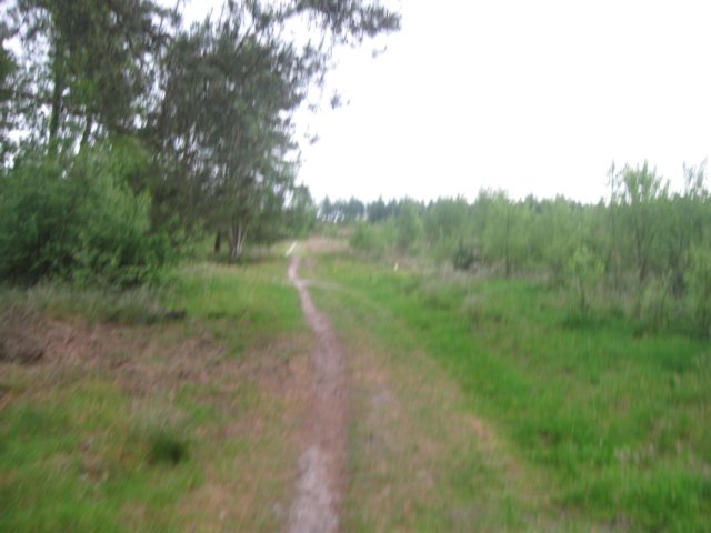 img_2138.jpg