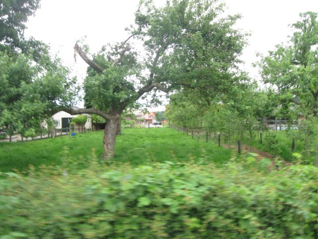 img_2167.jpg