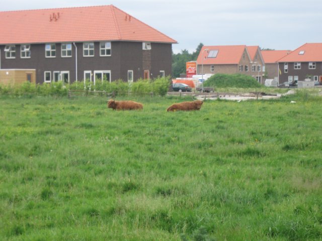 img_2170.jpg