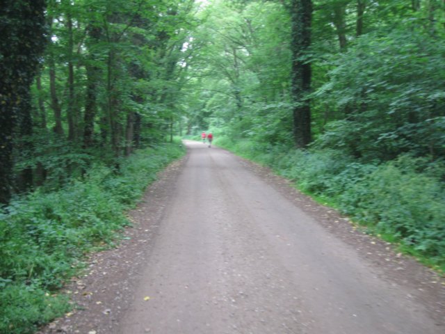 img_2184.jpg