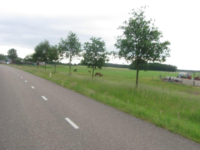 img_2191.jpg