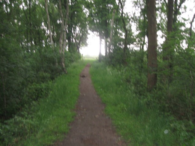 img_2217.jpg
