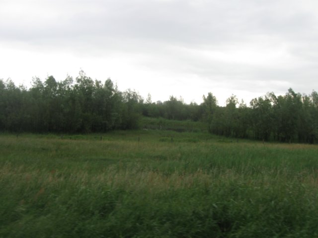 img_2219.jpg