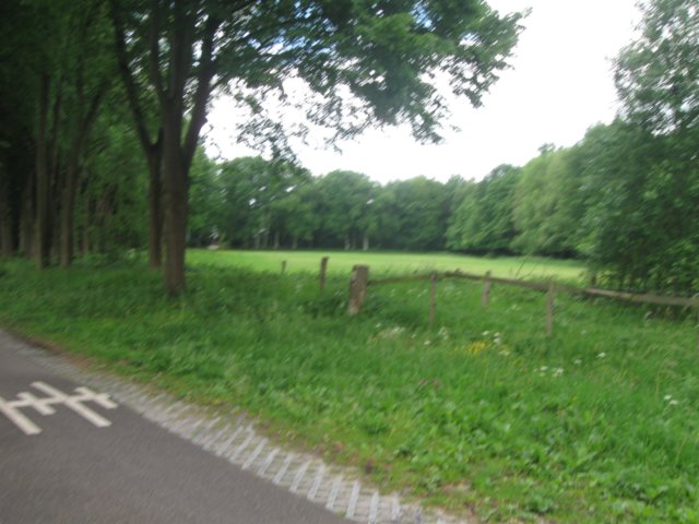 img_2282.jpg