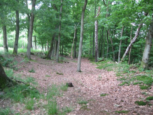 img_2297.jpg