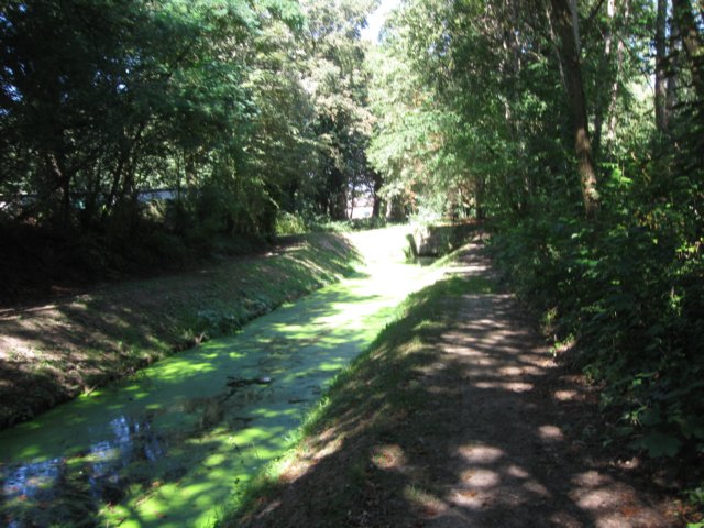 img_5822.jpg