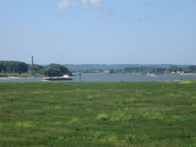 img_2943.jpg