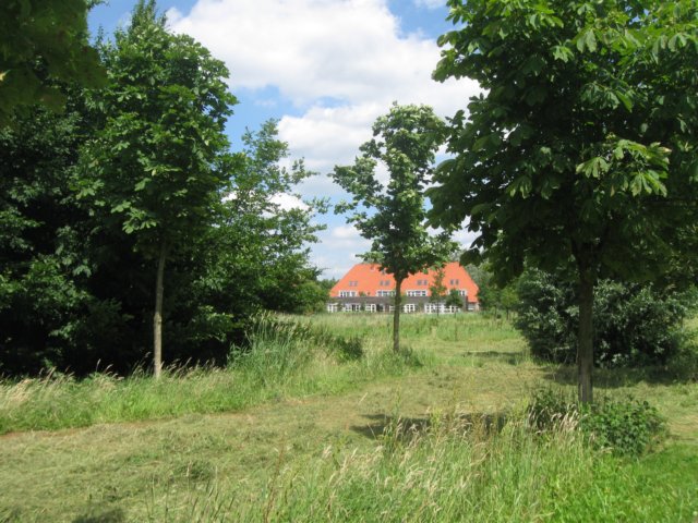 img_3016.jpg