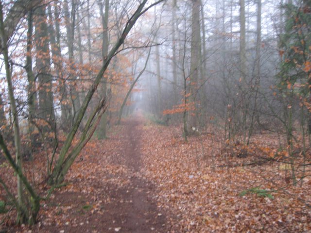 img_7476.jpg