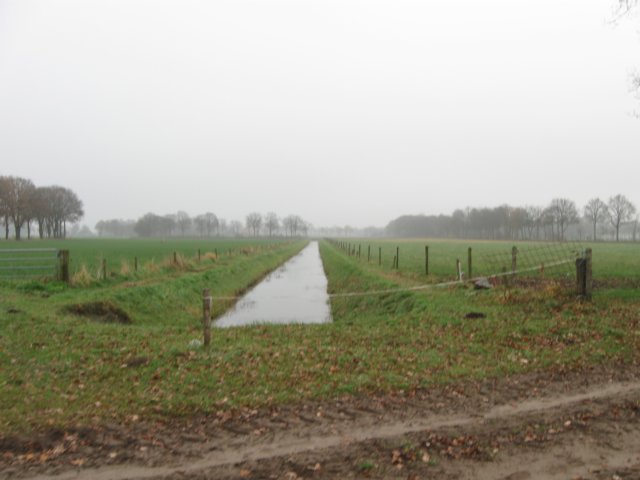 img_7543.jpg