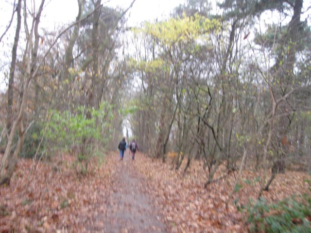 img_7555.jpg