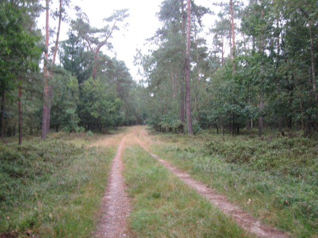 img_5273.jpg