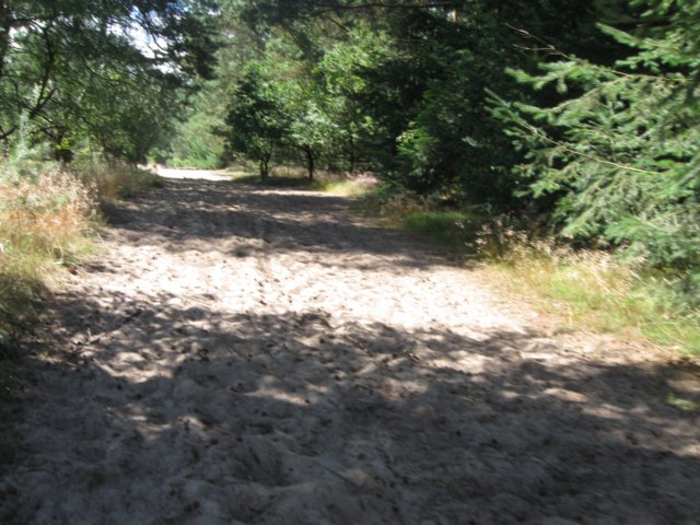 img_5325.jpg