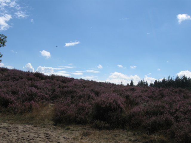 img_5326.jpg