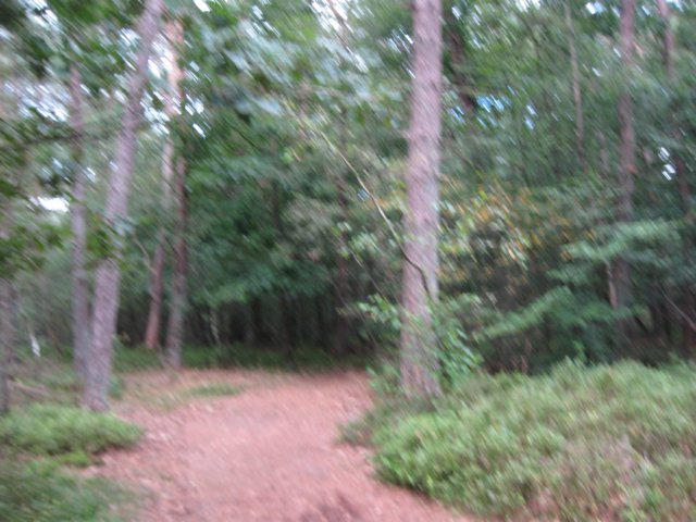 img_5332.jpg