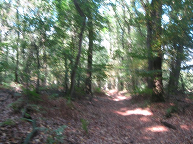 img_5336.jpg