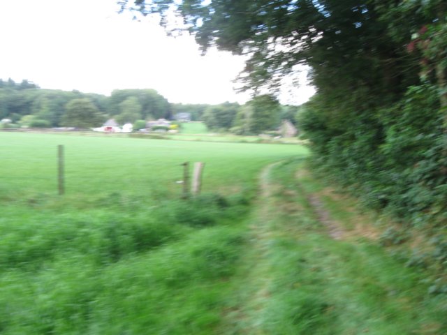img_5337.jpg