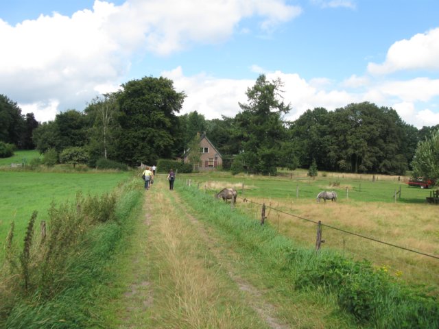 img_5338.jpg