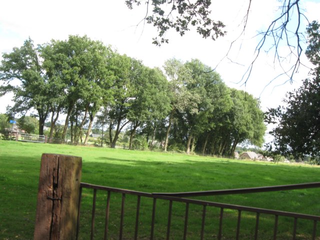 img_5342.jpg