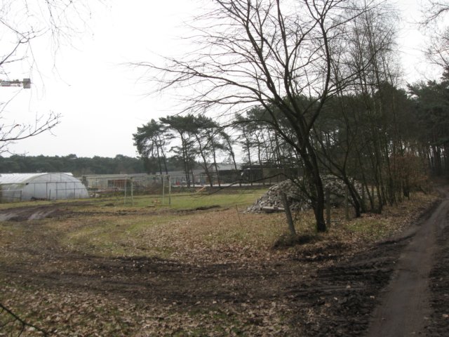 img_8826.jpg