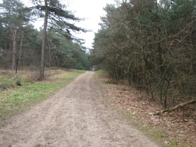 img_8846.jpg