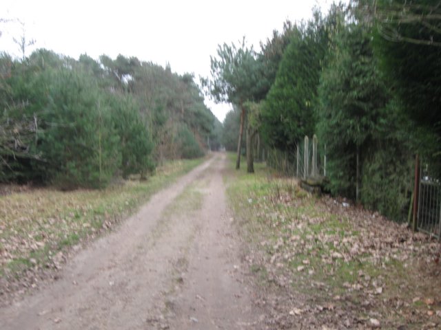 img_8847.jpg